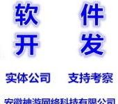重慶智能移動(dòng)設(shè)備軟件開發(fā)、游戲研發(fā)與設(shè)備銷售產(chǎn)業(yè)展望